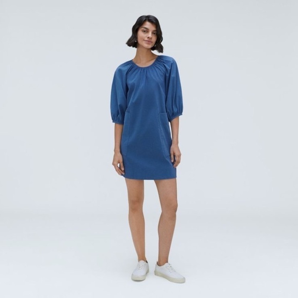 Everlane Blue Mini Dress with Puff Sleeves